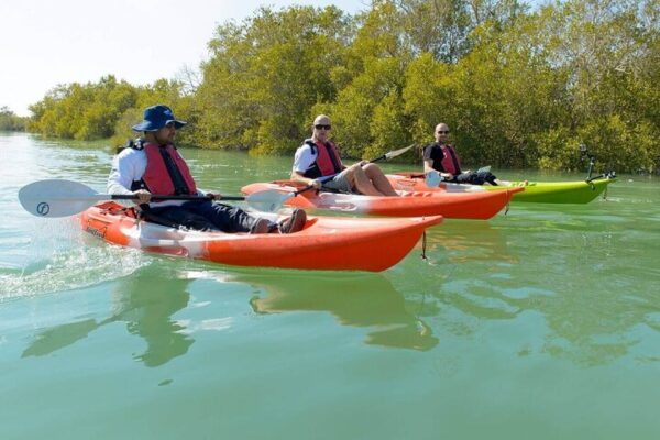 Abu Dhabi Kayak Adventure - Image 5