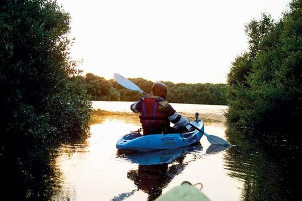 Abu Dhabi Kayak Adventure - Image 4