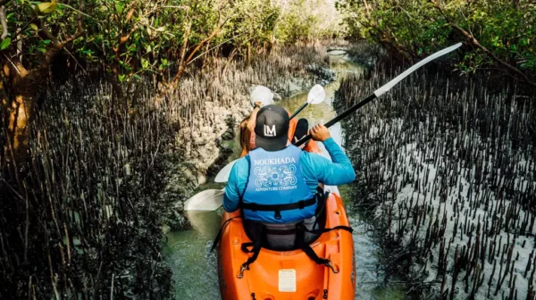 Abu Dhabi Kayak Adventure - Image 2