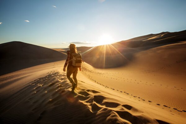 Hamdan Camp Abu Dhabi - Image 2