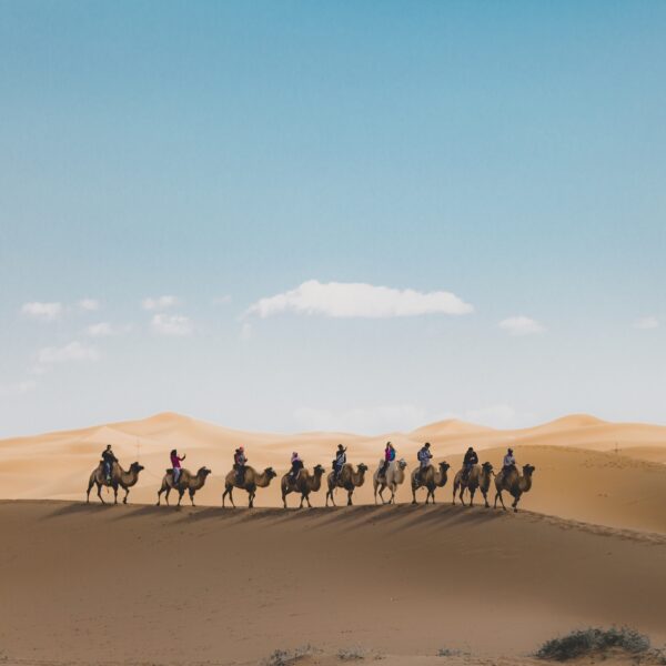 Camel Trekking in Abu Dhabi(02 Pax)